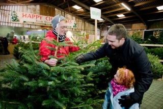 Get your Christmas tree